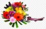 Flower & Bouquet Delivery