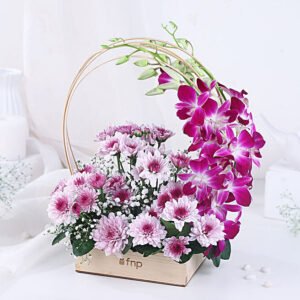 Luxury Orchid Basket